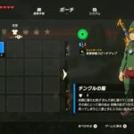 ゼルダの伝説BoWチンクル装備