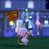 しぐさ「パラディンガード」をするバルカズ