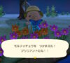 あつまれ どうぶつの森「モルフォチョウ」